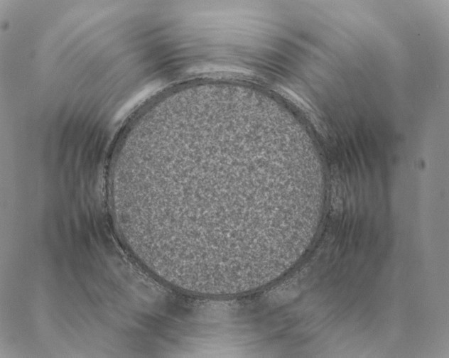 X0000088361074200706121049