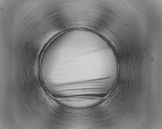 X0000088361076200706121049