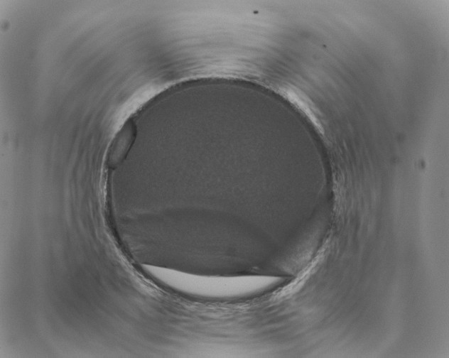 X0000088361077200706121049