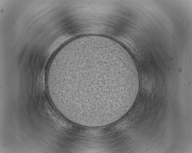 X0000088361078200706121049