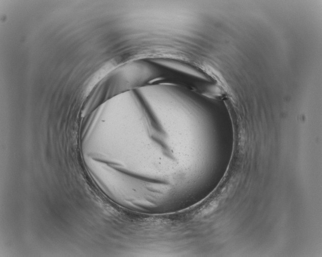 X0000088361081200706121049