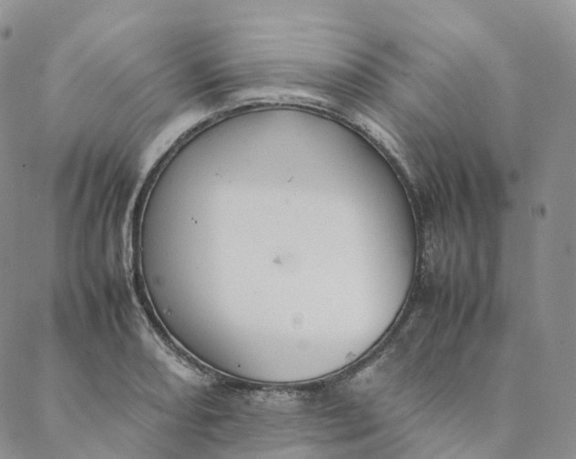 X0000088361082200706121049