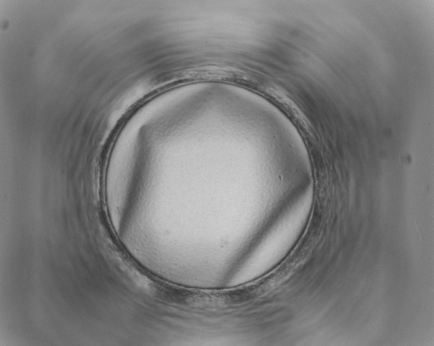 X0000088361083200706121049