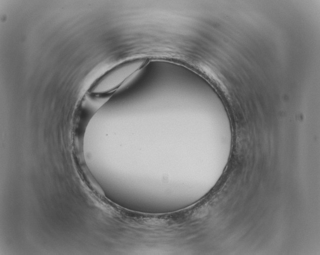 X0000088361085200706121049