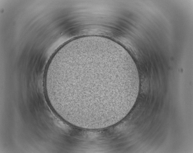 X0000088361086200706121049