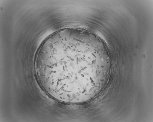 X0000088361087200706121049