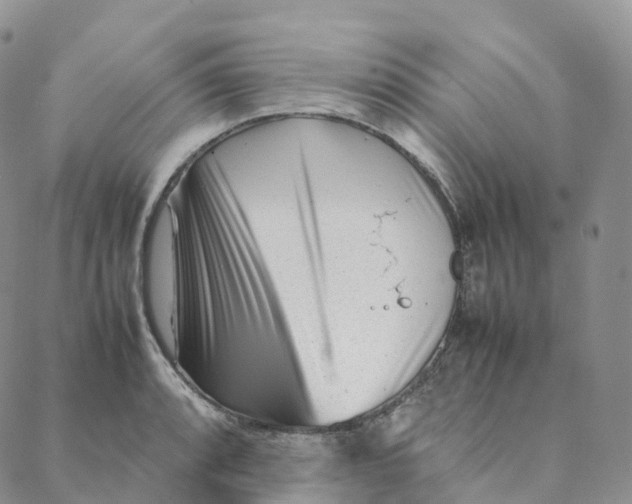 X0000088361088200706121049