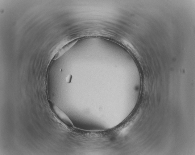 X0000088361089200706121049