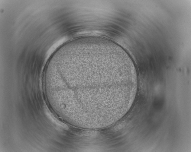 X0000088361090200706121049