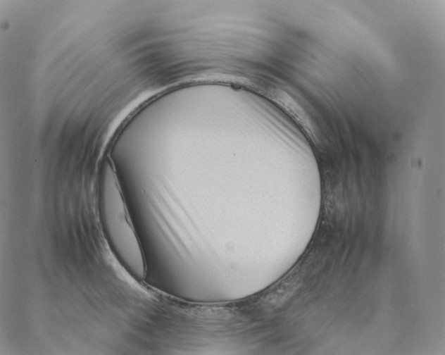 X0000088361092200706121049