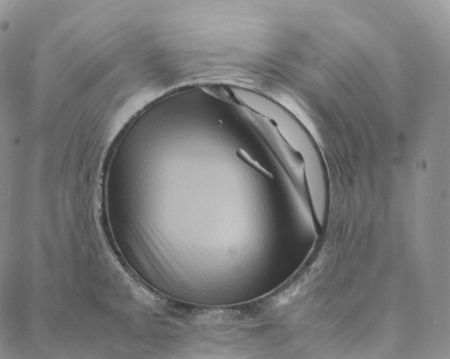 X0000088361093200706121049