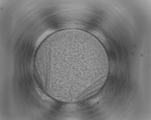 X0000088361094200706121049