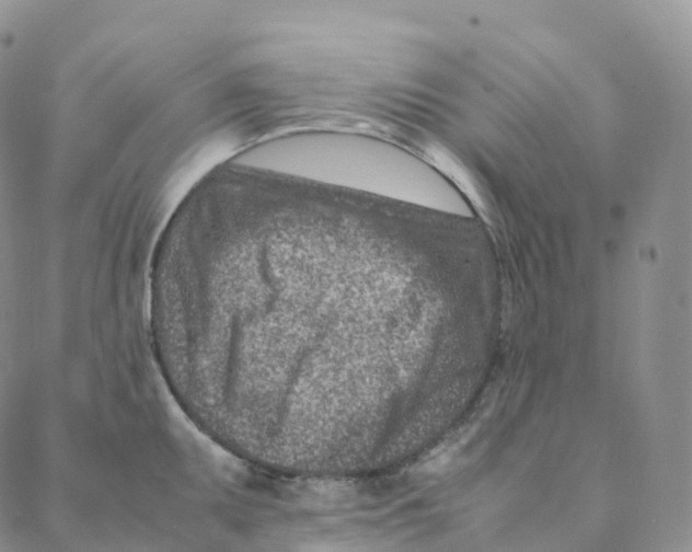 X0000088361095200706121049