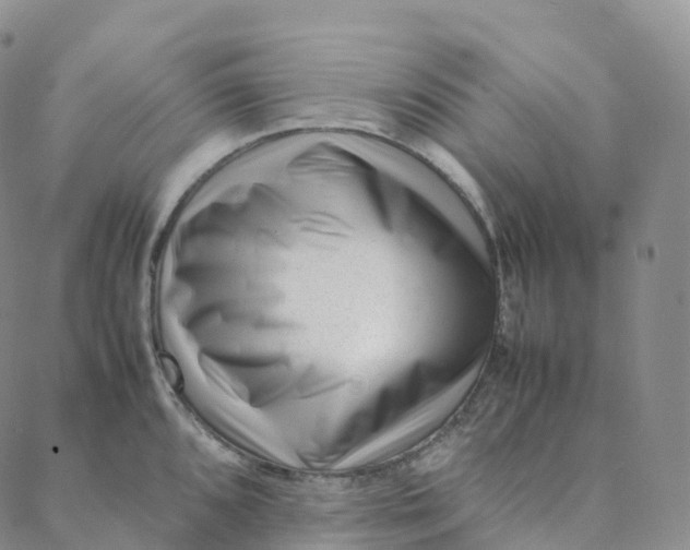 X0000088361096200706121049