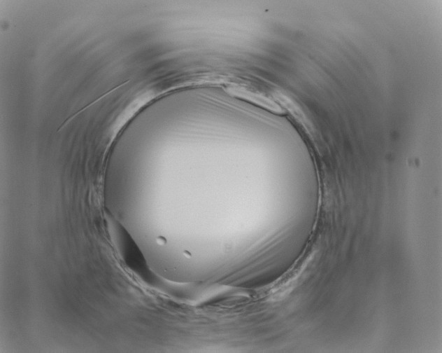 X0000088361097200706121049