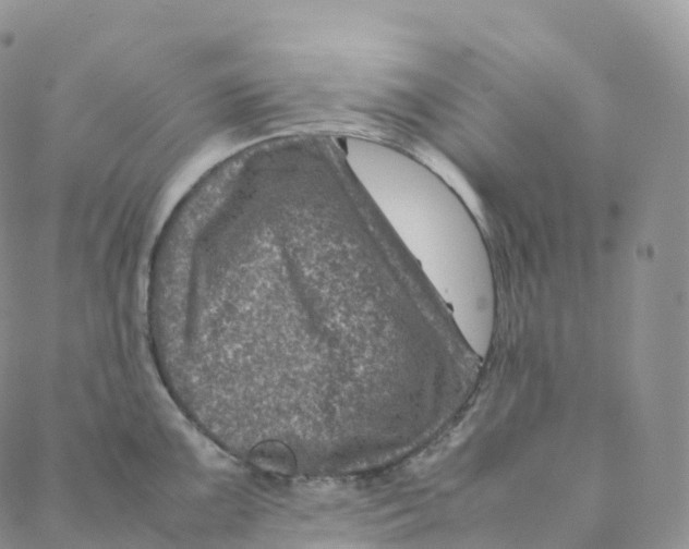 X0000088361099200706121049