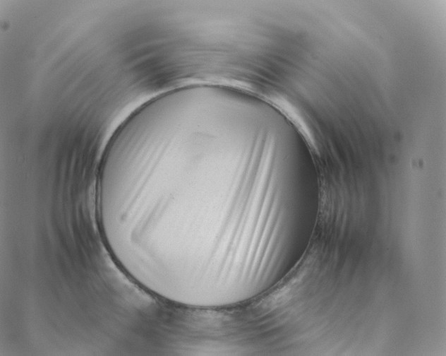 X0000088361100200706121049