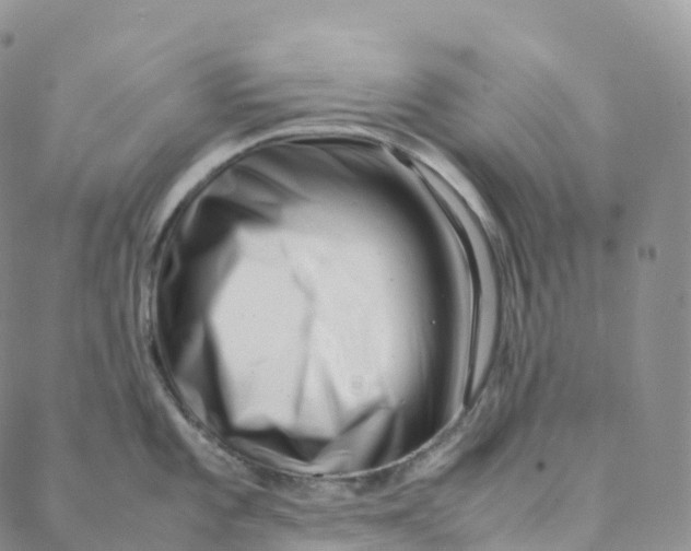 X0000088361101200706121049