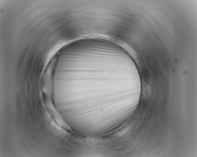 X0000088361102200706121049