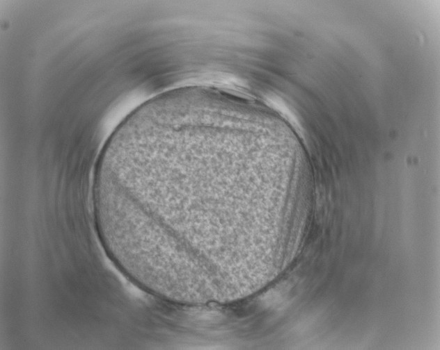 X0000088361103200706121049