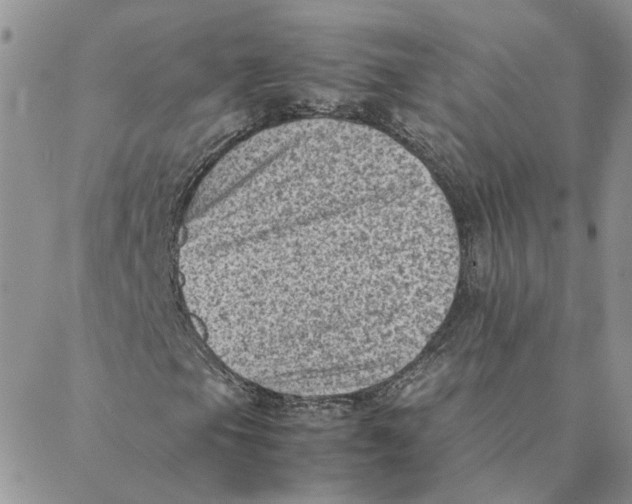 X0000088361105200706121048