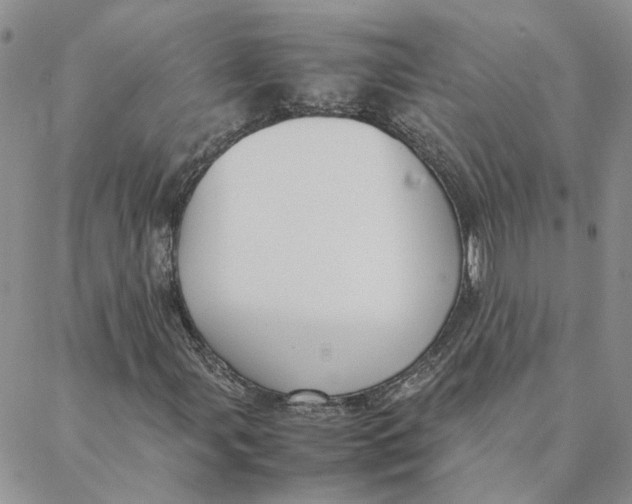 X0000088361107200706121048