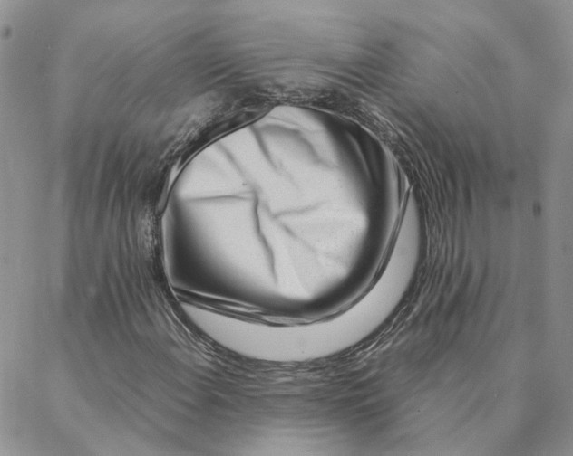 X0000088361108200706121048