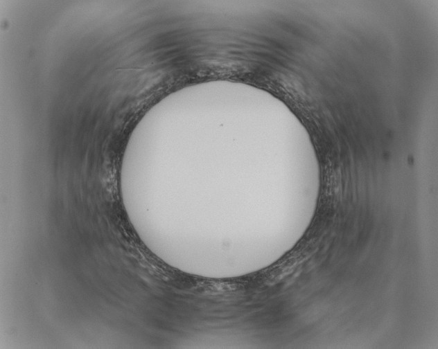 X0000088361109200706121048