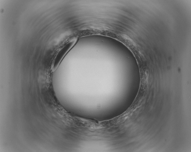 X0000088361110200706121048