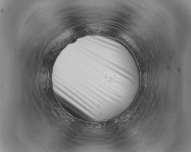 X0000088361111200706121048