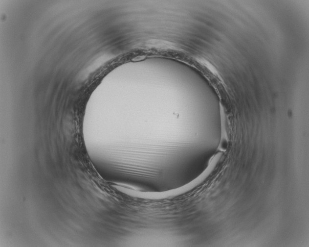 X0000088361112200706121048