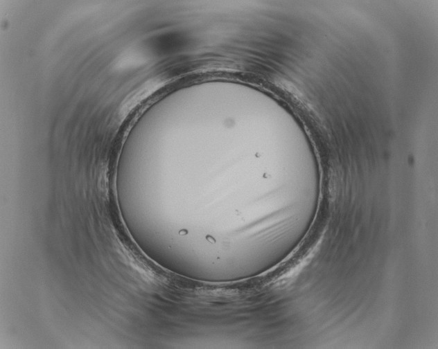 X0000088361113200706121048