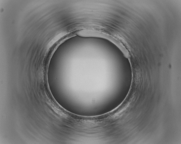 X0000088361114200706121048