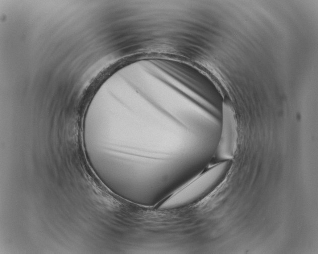 X0000088361115200706121048