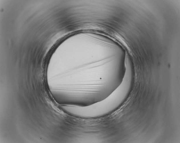 X0000088361116200706121048