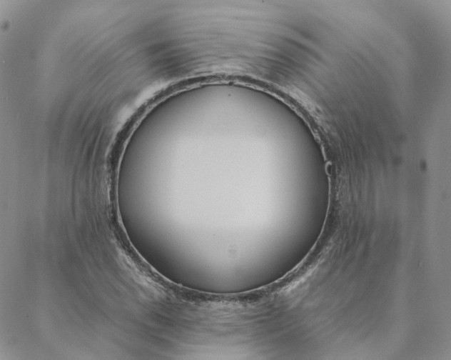 X0000088361118200706121048