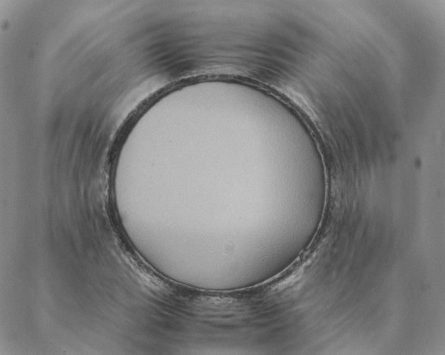 X0000088361119200706121048