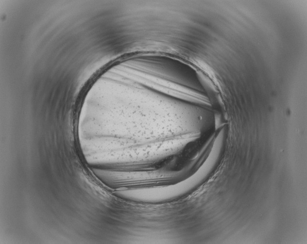 X0000088361120200706121048