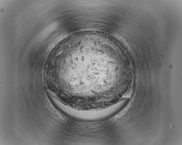 X0000088361121200706121048