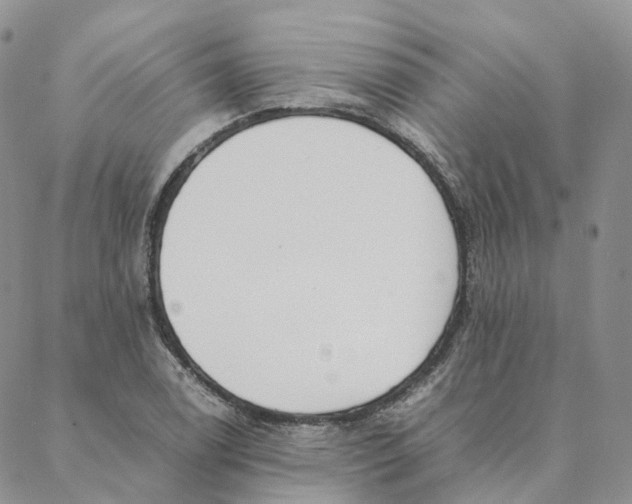 X0000088361122200706121048