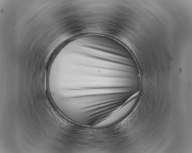 X0000088361123200706121048