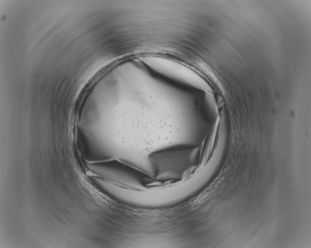 X0000088361124200706121048