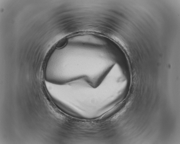 X0000088361125200706121048