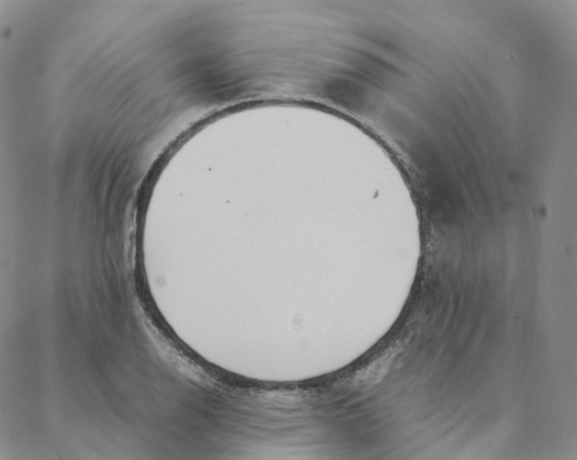 X0000088361126200706121048