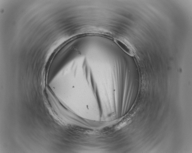 X0000088361128200706121048