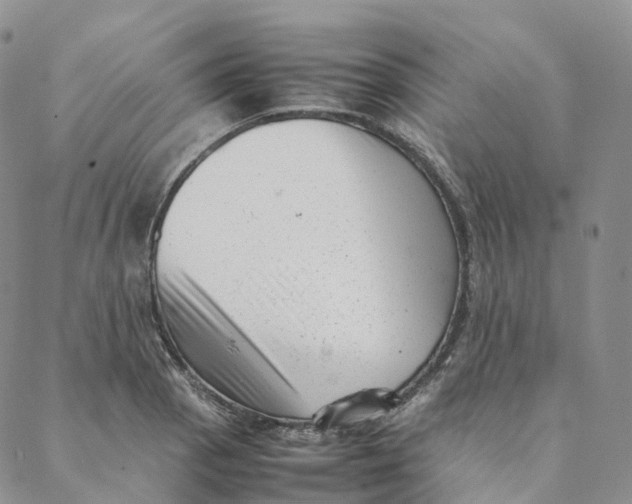 X0000088361129200706121048