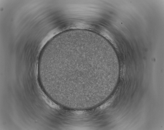 X0000088361130200706121048