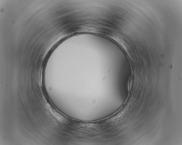 X0000088361131200706121048