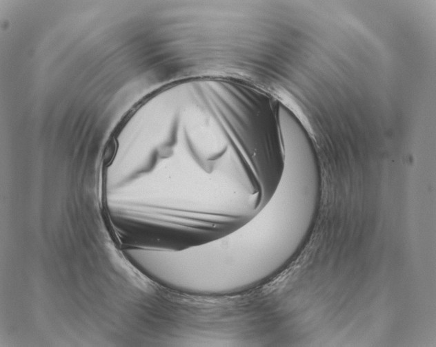 X0000088361132200706121048