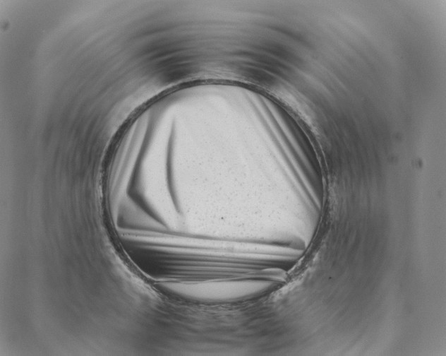 X0000088361133200706121048